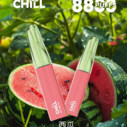 【CHILL 鴨嘴獸】8800口潮流拋棄式 12W強勁輸出爆發口感 550mAh 續航怪獸 3%尼古丁鹽高滿足 多款熱銷口味 台灣現貨秒發