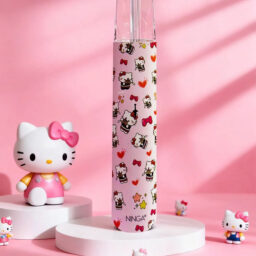 NINGA 動漫聯名系列 卡通一代主機 專屬 IP 塗裝設計 炫彩 LED 燈條動態顯示 一代通用規格 Type-C快充 台灣現貨