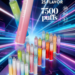 DIYA 叮啞 7500抛棄式 極致冰爽系列多口味任選 不漏油結構順滑擊喉 10ml 大容量 500mAh可充電設計 全台現貨 速發不用等