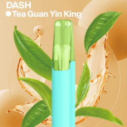 Snowplus DASH 4000口拋棄式 鴨嘴獸獨家人體工學吸嘴極致貼合 7.5ml 大容量不乾燒 獨家吸嘴設計 不掉味技術 3%丁鹽 台灣現貨