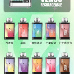 【加購130送主機+電池】VAPENGIN VENUS 金星主機 頂級商務質感機身 網狀霧化芯極致口感 500mAh 高效快充續航 台灣現貨秒發