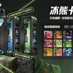 【加購100送主機】Zgar 冰熊卡帶 內建 LED 智慧顯示螢幕 15ml 煙油 15000Puffs 穩定輸出 700mAh Type-C 快充 磁吸換彈防漏技術 台灣現貨