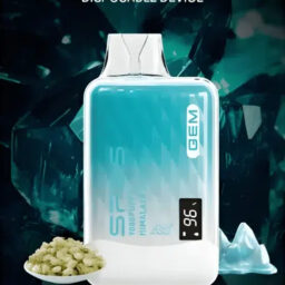 SP2S 思博瑞 GEM 9000抛棄式電子煙 巨量裝煙油續航天花板 600mAh大電量支援快充 智能顯示螢幕 透明水晶質感 全台現貨 秒發不用等