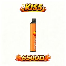 KIS5 鎧斯 6500抛棄式 升級不漏油結構順滑擊喉 雙芯磁吸自由配 Type-C 快充長效續航 全台現貨速發